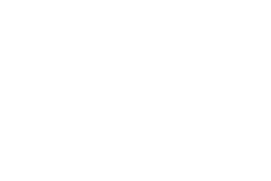 yzone